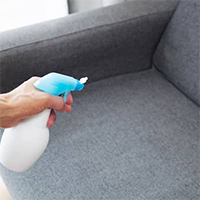 Couch sanitization