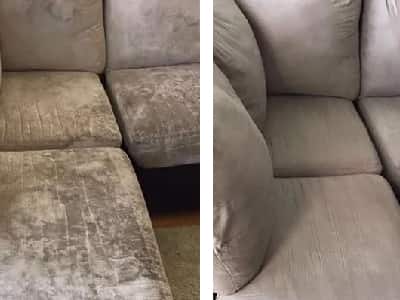 Couch Mould Removal