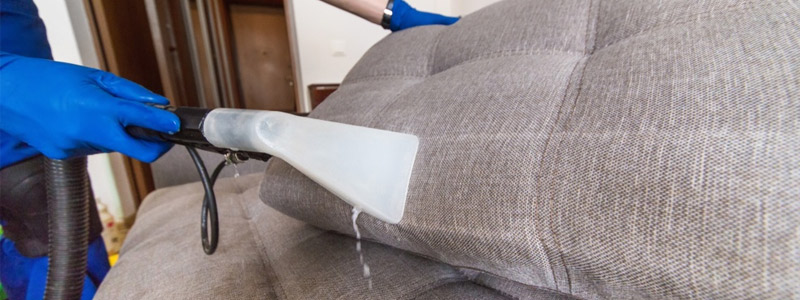 Professional Upholstery Cleaning