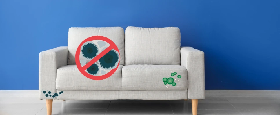 How To Remove Mould And Mildew From Upholstery
